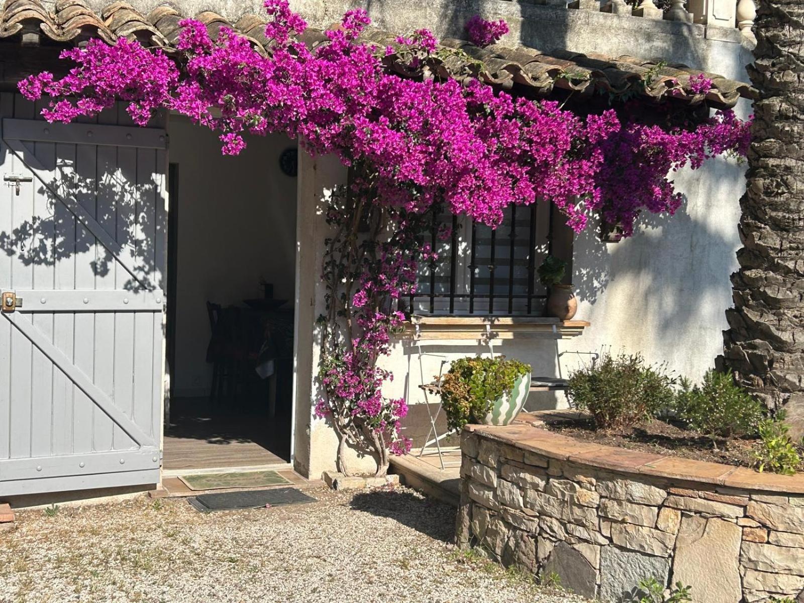 Apartment Les Palmiers *
